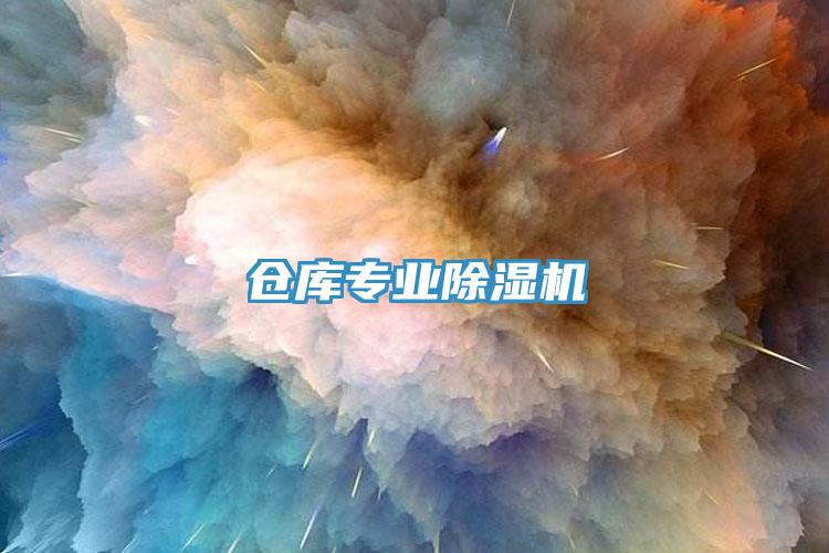 倉庫專(zhuān)業(yè)除濕機