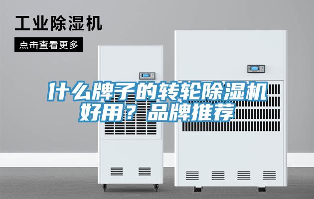 什么牌子的轉輪除濕機好用？品牌推薦