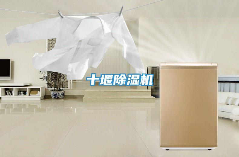 十堰除濕機