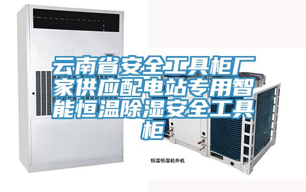 云南省安全工具柜廠(chǎng)家供應配電站專(zhuān)用智能恒溫除濕安全工具柜
