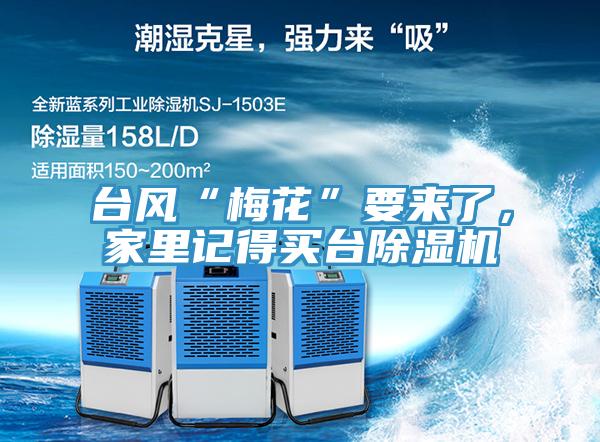臺風(fēng)“梅花”要來(lái)了，家里記得買(mǎi)臺除濕機