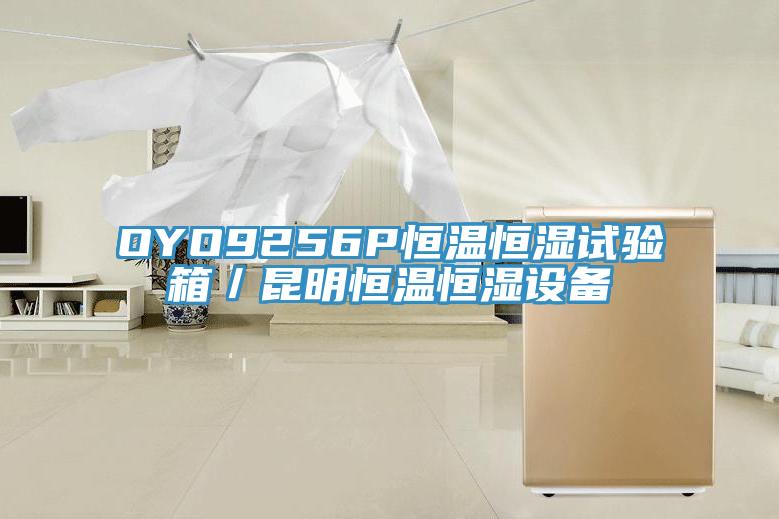 OYO9256P恒溫恒濕試驗箱／昆明恒溫恒濕設備