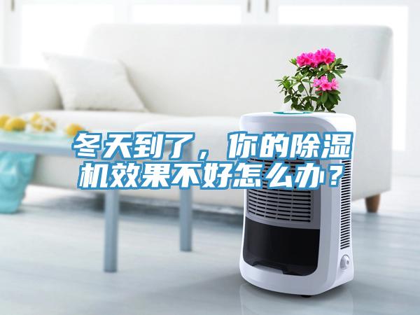 冬天到了，你的除濕機效果不好怎么辦？