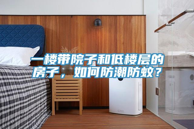 一樓帶院子和低樓層的房子，如何防潮防蚊？