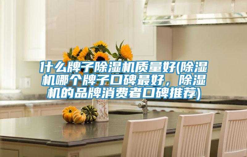 什么牌子除濕機質(zhì)量好(除濕機哪個(gè)牌子口碑最好，除濕機的品牌消費者口碑推薦)