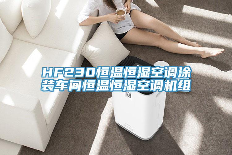 HF230恒溫恒濕空調涂裝車(chē)間恒溫恒濕空調機組