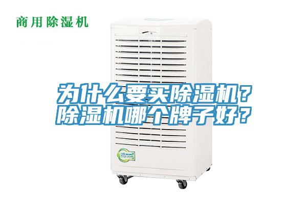 為什么要買(mǎi)除濕機？除濕機哪個(gè)牌子好？