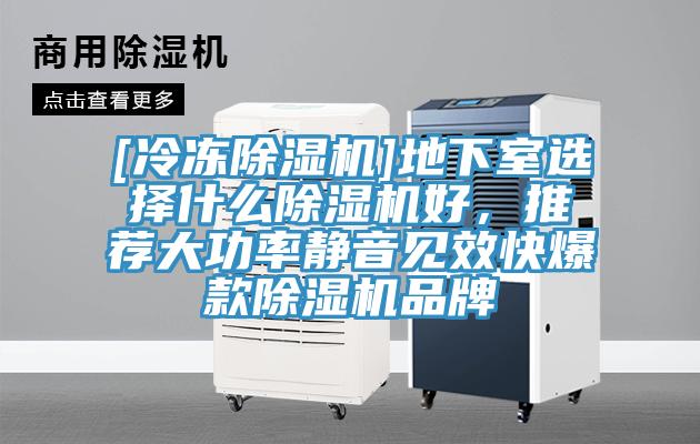 [冷凍除濕機]地下室選擇什么除濕機好，推薦大功率靜音見(jiàn)效快爆款除濕機品牌