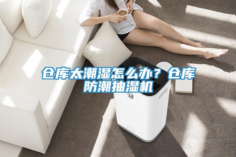 倉庫太潮濕怎么辦？倉庫防潮抽濕機