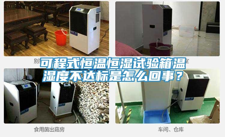 可程式恒溫恒濕試驗箱溫濕度不達標是怎么回事？
