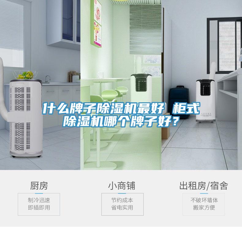 什么牌子除濕機最好 柜式除濕機哪個(gè)牌子好？