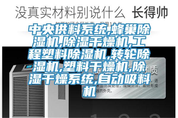 中央供料系統,蜂巢除濕機,除濕干燥機,工程塑料除濕機,轉輪除濕機,塑料干燥機,除濕干燥系統,自動(dòng)吸料機