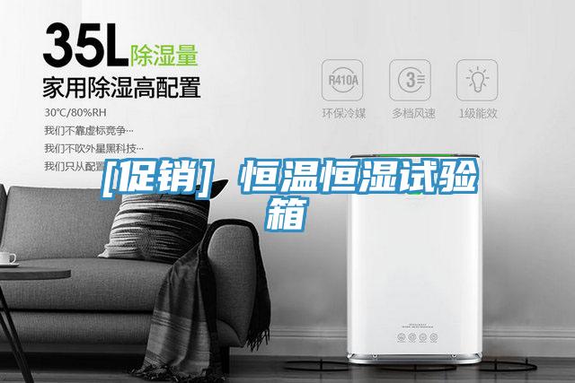 [促銷(xiāo)] 恒溫恒濕試驗箱
