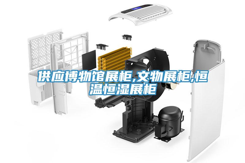 供應博物館展柜,文物展柜,恒溫恒濕展柜