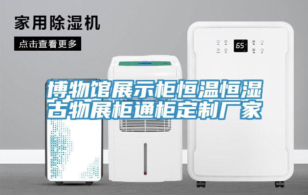 博物館展示柜恒溫恒濕古物展柜通柜定制廠(chǎng)家