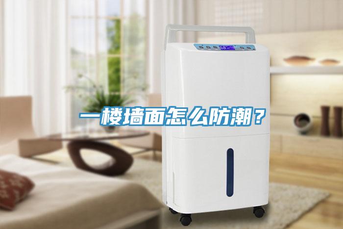 一樓墻面怎么防潮？