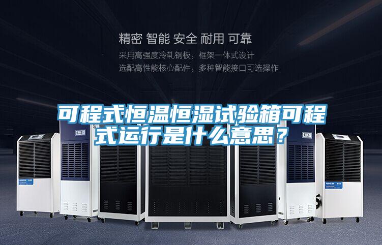 可程式恒溫恒濕試驗箱可程式運行是什么意思？