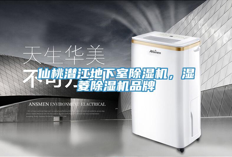 仙桃潛江地下室除濕機，濕菱除濕機品牌