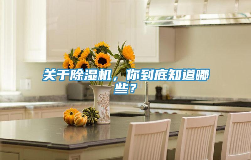 關(guān)于除濕機，你到底知道哪些？