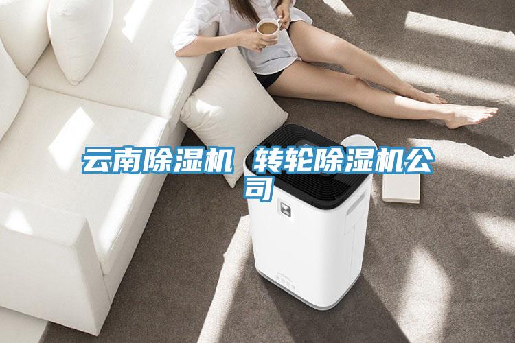 云南除濕機 轉輪除濕機公司