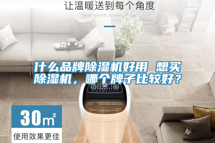 什么品牌除濕機好用 想買(mǎi)除濕機，哪個(gè)牌子比較好？