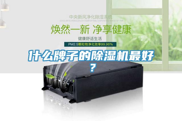什么牌子的除濕機最好？