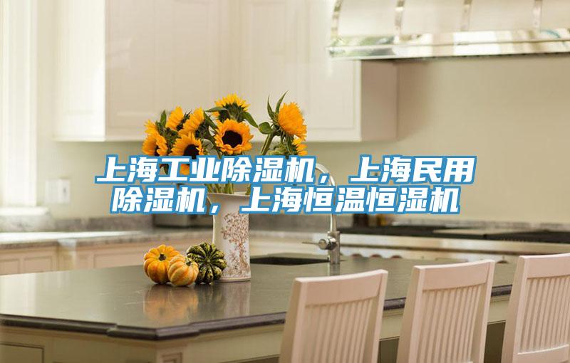 上海工業(yè)除濕機，上海民用除濕機，上海恒溫恒濕機