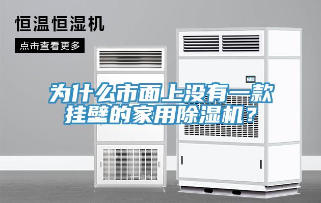為什么市面上沒(méi)有一款掛壁的家用除濕機？