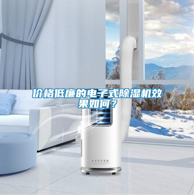 價(jià)格低廉的電子式除濕機效果如何？