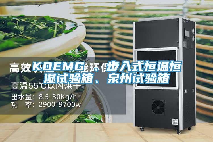 KOEMG 、步入式恒溫恒濕試驗箱、泉州試驗箱