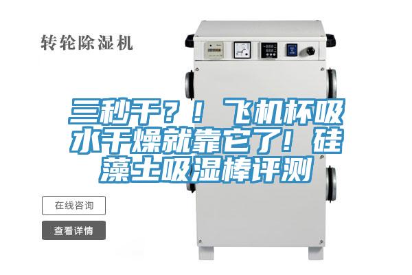 三秒干？! 飛機杯吸水干燥就靠它了! 硅藻土吸濕棒評測