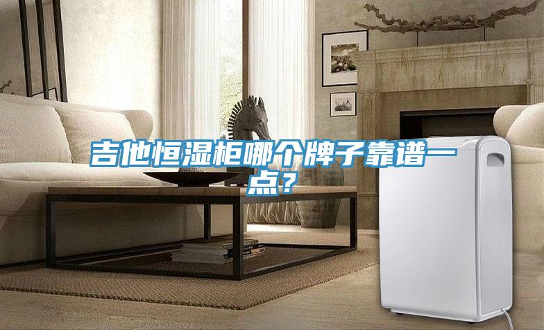 吉他恒濕柜哪個(gè)牌子靠譜一點(diǎn)？