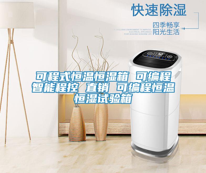 可程式恒溫恒濕箱 可編程智能程控 直銷(xiāo) 可編程恒溫恒濕試驗箱