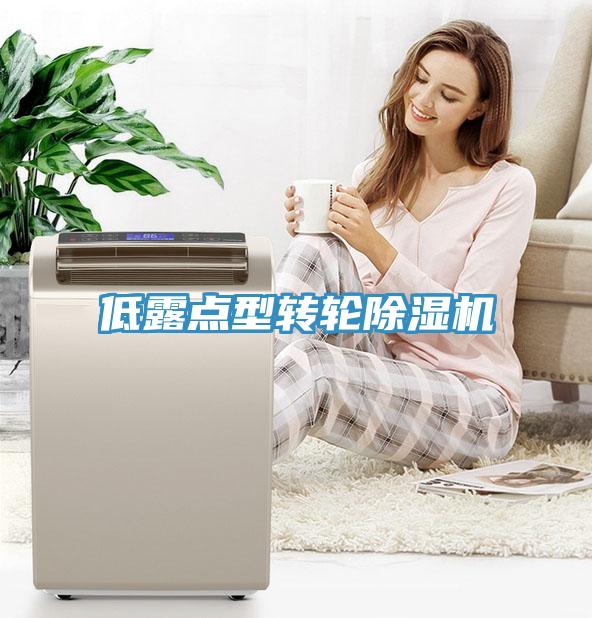 低露點(diǎn)型轉輪除濕機