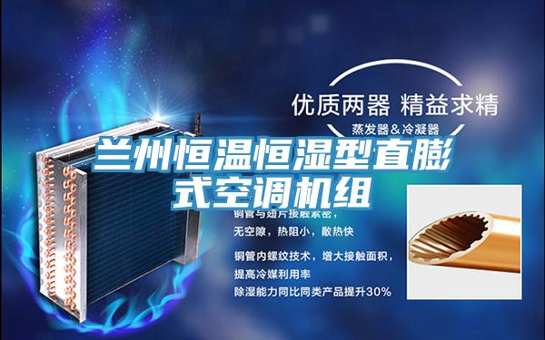 蘭州恒溫恒濕型直膨式空調機組