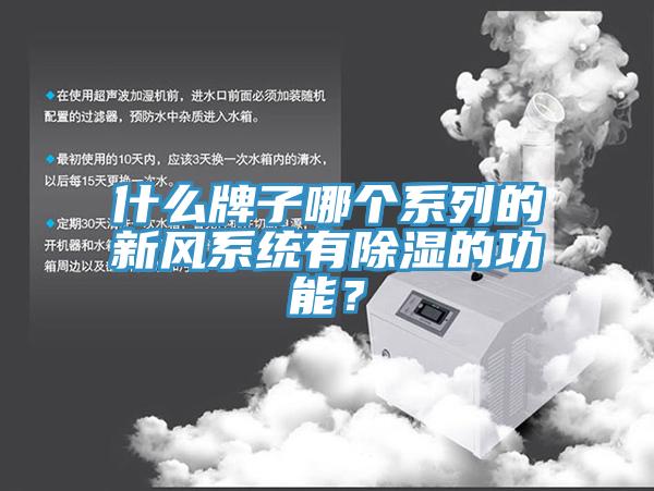 什么牌子哪個(gè)系列的新風(fēng)系統有除濕的功能？