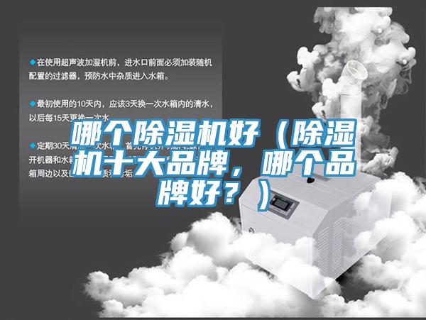 哪個(gè)除濕機好（除濕機十大品牌，哪個(gè)品牌好？）