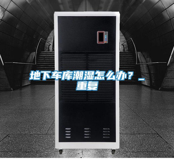 地下車(chē)庫潮濕怎么辦？_重復