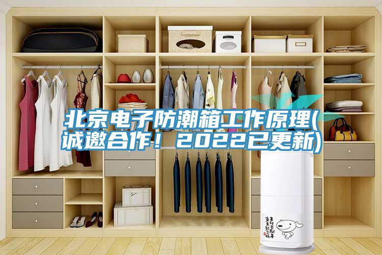 北京電子防潮箱工作原理(誠邀合作！2022已更新)