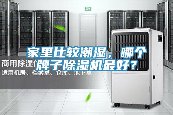 家里比較潮濕，哪個(gè)牌子除濕機最好？