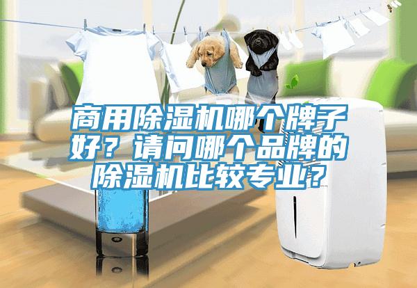 商用除濕機哪個(gè)牌子好？請問(wèn)哪個(gè)品牌的除濕機比較專(zhuān)業(yè)？