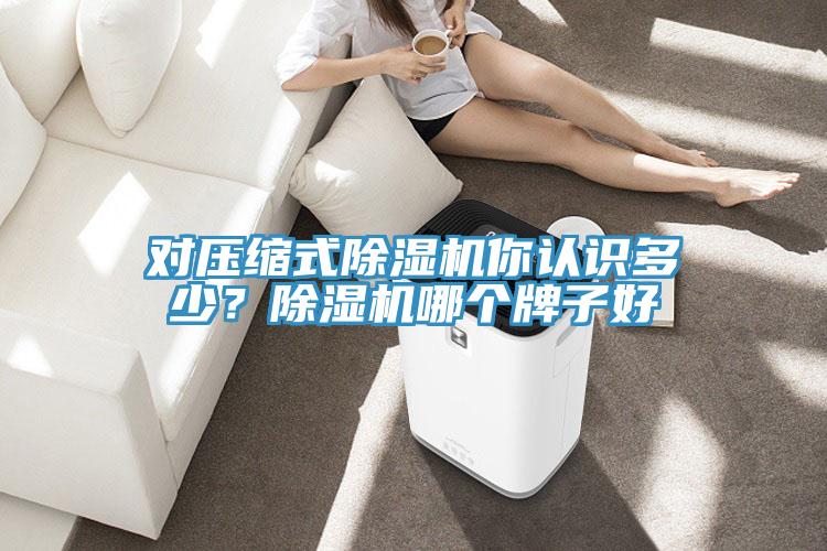 對壓縮式除濕機你認識多少？除濕機哪個(gè)牌子好