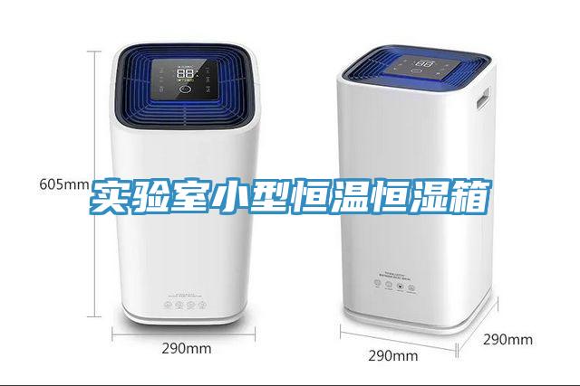 實(shí)驗室小型恒溫恒濕箱
