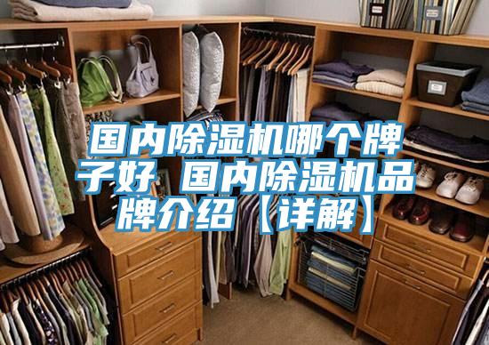 國內除濕機哪個(gè)牌子好 國內除濕機品牌介紹【詳解】