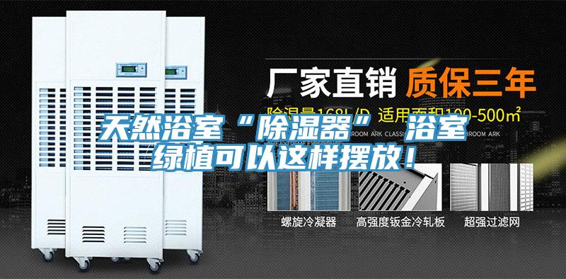 天然浴室“除濕器” 浴室綠植可以這樣擺放！