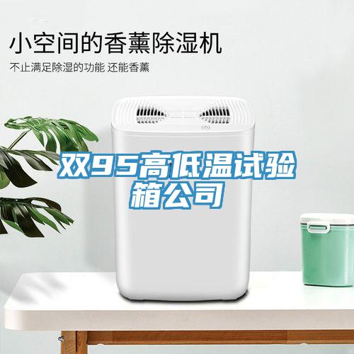 雙95高低溫試驗箱公司
