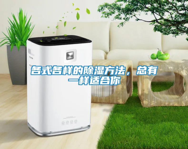 各式各樣的除濕方法，總有一樣適合你
