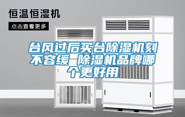 臺風(fēng)過(guò)后買(mǎi)臺除濕機刻不容緩 除濕機品牌哪個(gè)更好用