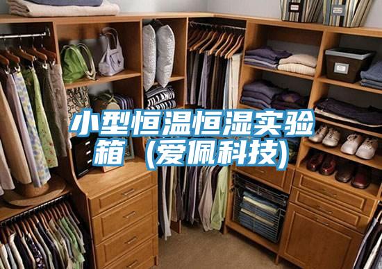小型恒溫恒濕實(shí)驗箱 (愛(ài)佩科技)