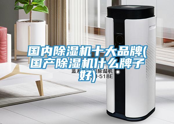 國內除濕機十大品牌(國產(chǎn)除濕機什么牌子好)